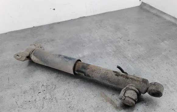 Rear shock absorber/damper