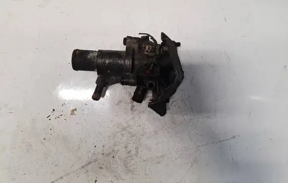 Renault Scenic I Engine coolant pipe/hose 7700869797 7700869797F
