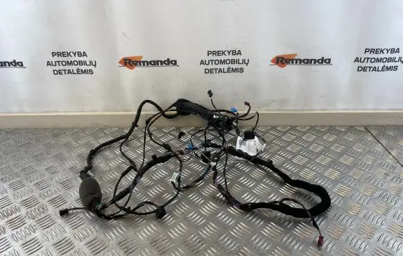 BMW 5 G30 G31 Front door wiring loom 9221028