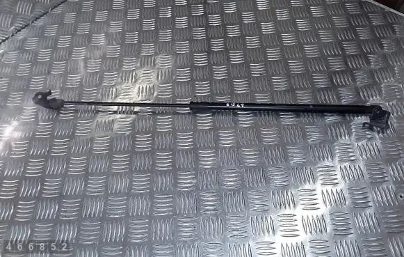 Front bonnet/hood damper/strut