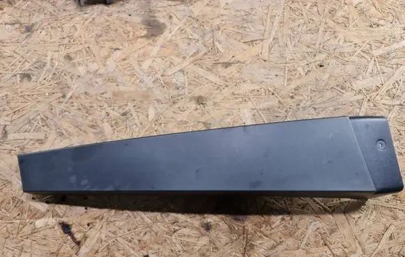 Renault Scenic II - Grand scenic II Rear door glass trim molding 8200139600 MP5469