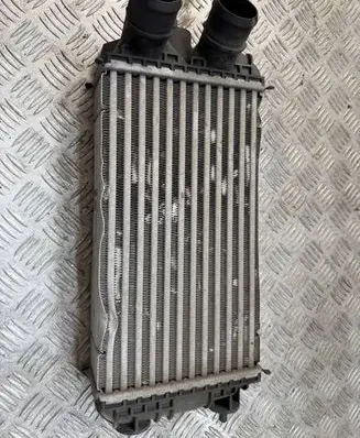 Peugeot 2008 II Intercooler radiator 9824742280