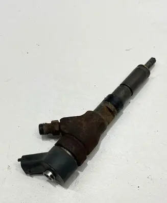 Citroen Jumper Fuel injector 0445110076