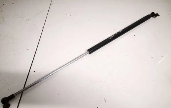 Tailgate/trunk strut/damper