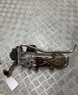 Volkswagen Polo V 6R EGR valve 