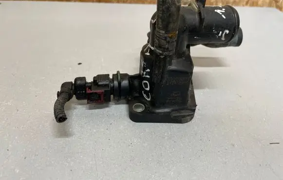 Thermostat/thermostat housing