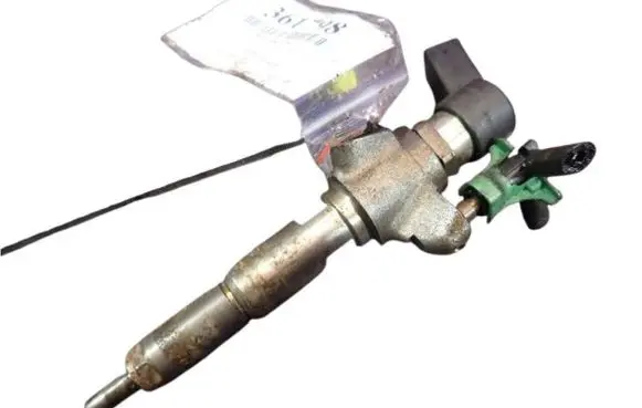 Citroen Berlingo Fuel injector 9802448680