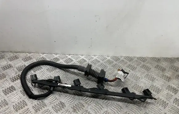 BMW X6 E71 Fuel injector wires 7808247