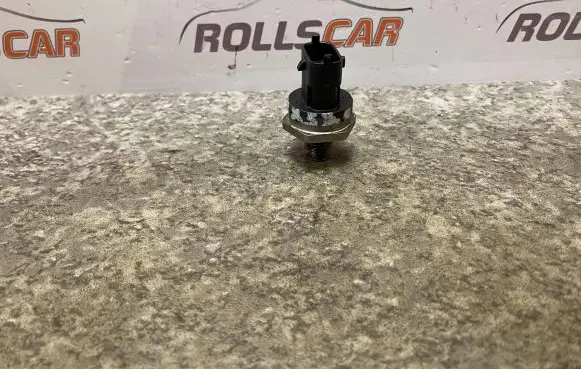 BMW X5 E53 Sensor 816