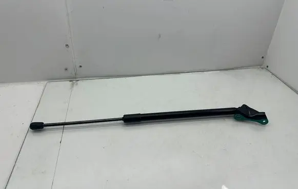Tailgate/trunk strut/damper
