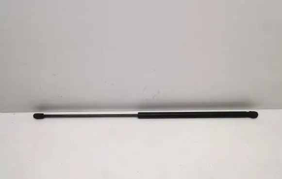 Ford Edge II Front bonnet/hood damper/strut KT4BR16C826AB
