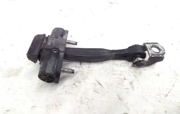 Fiat 500L Rear door check strap stopper