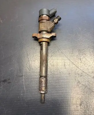 Volvo C30 Fuel injector 0445110259 2597