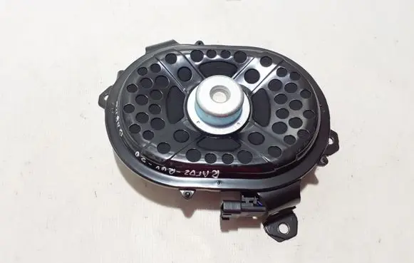 Panel speaker