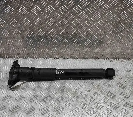 Citroen C4 III e-C4 Rear shock absorber/damper 9841379480