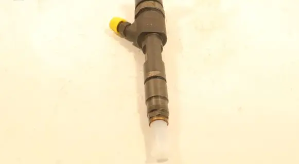 Renault Scenic II - Grand scenic II Fuel injector 0445110230