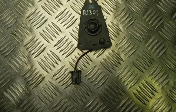 Front door high frequency speaker
