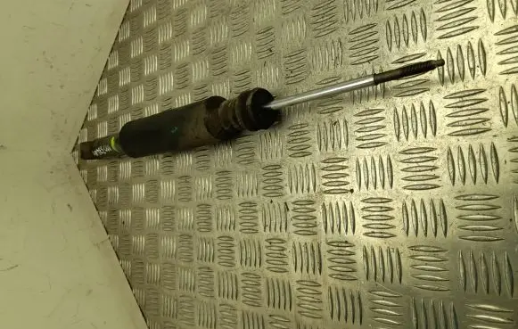Dacia Spring Rear shock absorber/damper 562100090R