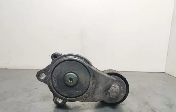 Chrysler 300C Generator/alternator belt tensioner E6631A111040 30222001F
