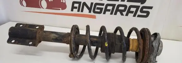 Fiat Ducato Front shock absorber with coil spring D06RT0