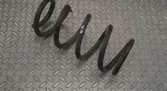 Tesla Model 3 Rear coil spring 104447201E