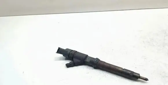 Fiat Ducato Fuel injector 0445110273 504088755