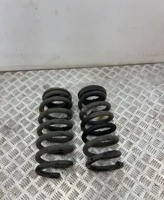 Rear coil spring