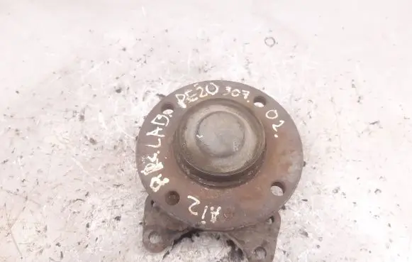 Peugeot 307 Rear wheel bearing hub 