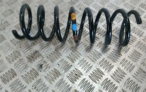 Rear coil spring