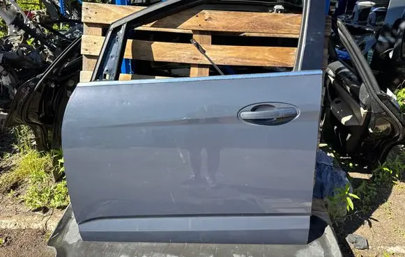 Ford Grand C-MAX Front door