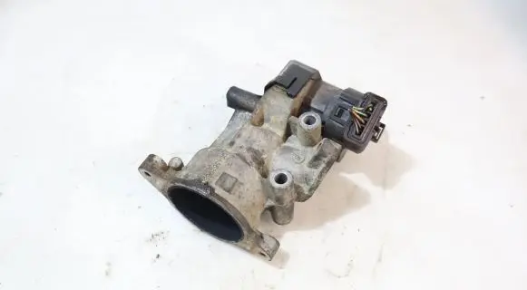 EGR valve