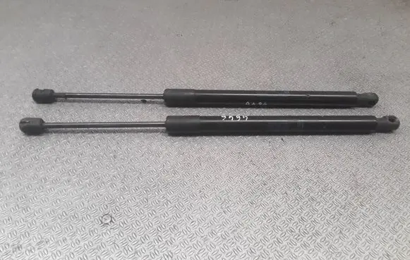 Opel Meriva B Tailgate/trunk strut/damper 13338367