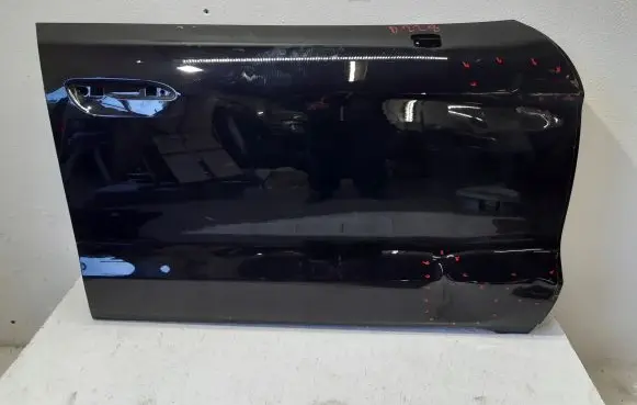 Porsche Taycan 9J1 Front door 9J1831194