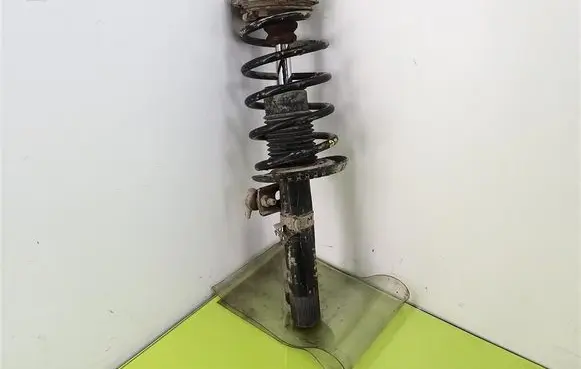 Seat Ibiza III (6L) Front shock absorber with coil spring 