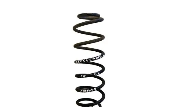 Opel Crossland X Rear coil spring