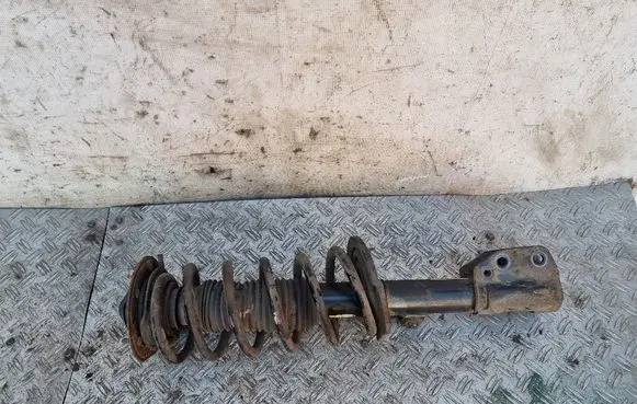 Chevrolet Captiva Front shock absorber with coil spring 95948811