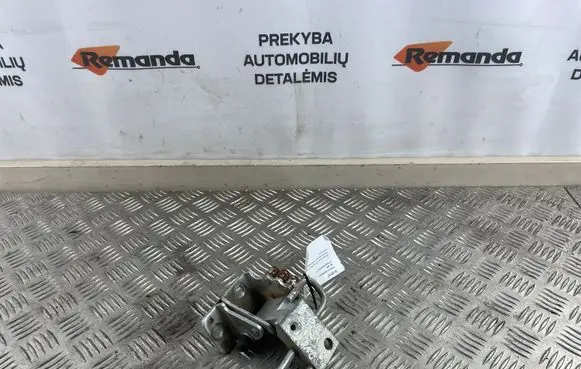 Volkswagen PASSAT B6 Front door lower hinge 