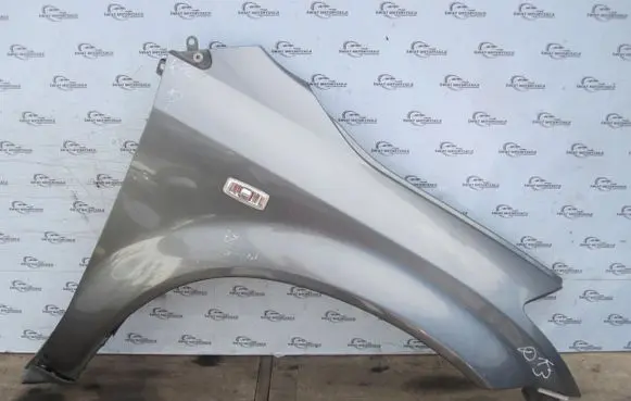 Fender