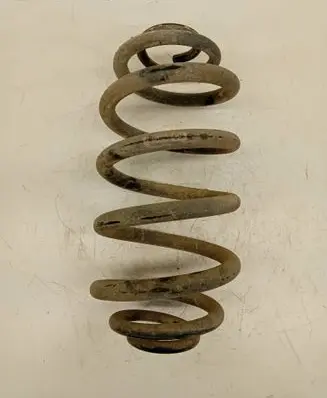 Rear coil spring