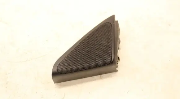 Front door high frequency speaker