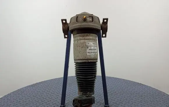 Audi Q7 4L Rear shock absorber/damper 7L8616019A