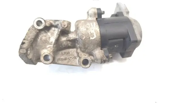 EGR valve