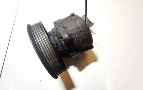 Renault Kangoo I Power steering pump 7700419117 7700420305A