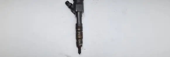 Renault Scenic II - Grand scenic II Fuel injector 0445110280