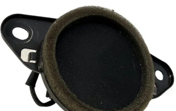 Panel speaker