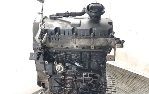 Volkswagen Golf V Engine BXE