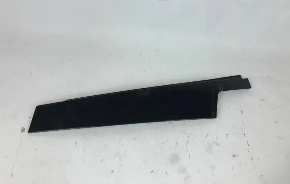 BMW X4 F26 Front door glass trim molding 7335622 19765810 7335