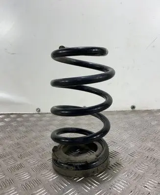 Hyundai Santa Fe Rear coil spring