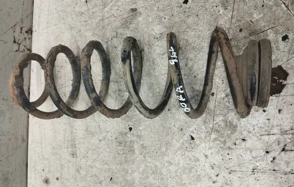 Volkswagen Bora Rear coil spring