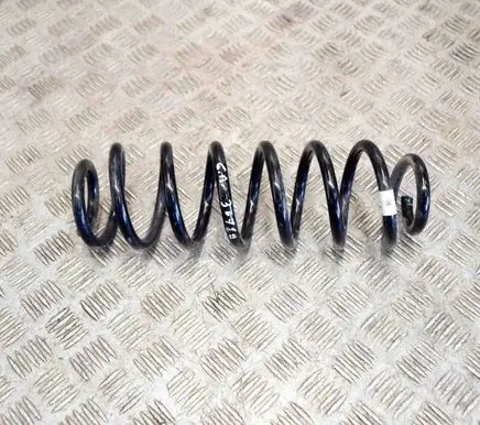 Volkswagen Tiguan Rear coil spring 5QF511115